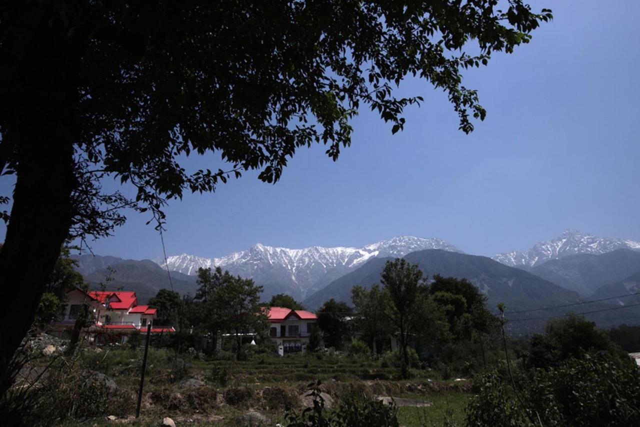 Harmony Blue Mcleodganj Hotel McLeod Ganj Buitenkant foto